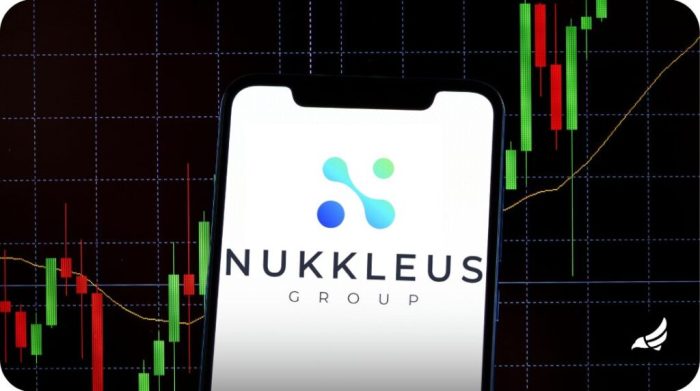 Nukk stock price