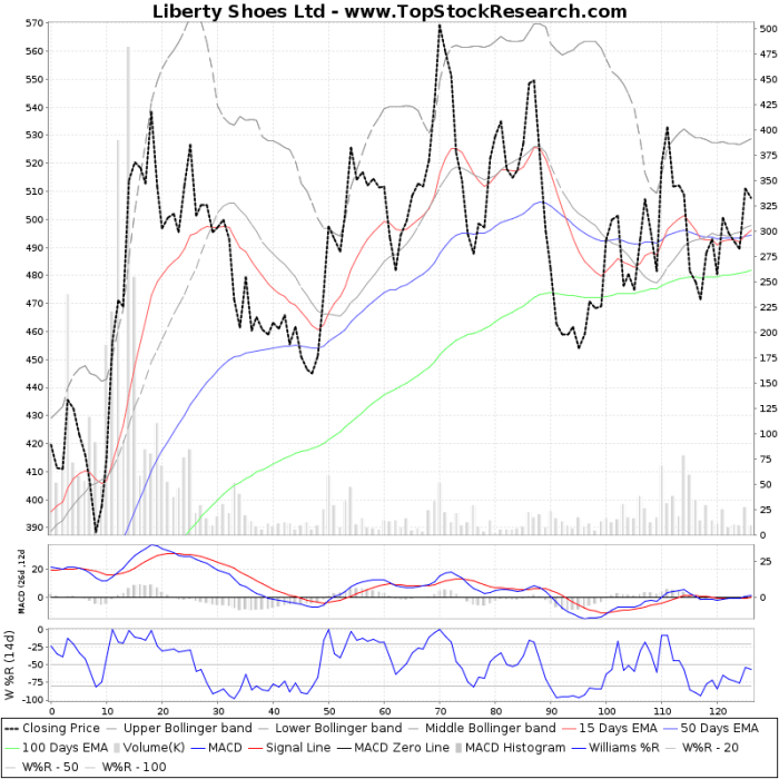 Liberty shoes stock price