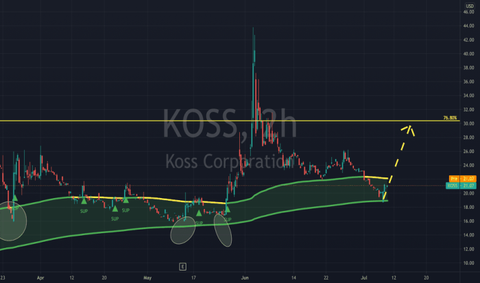 Koss corporation stock price