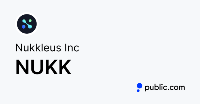 Nukk stock price