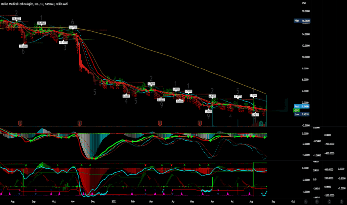 Hsdt stock price