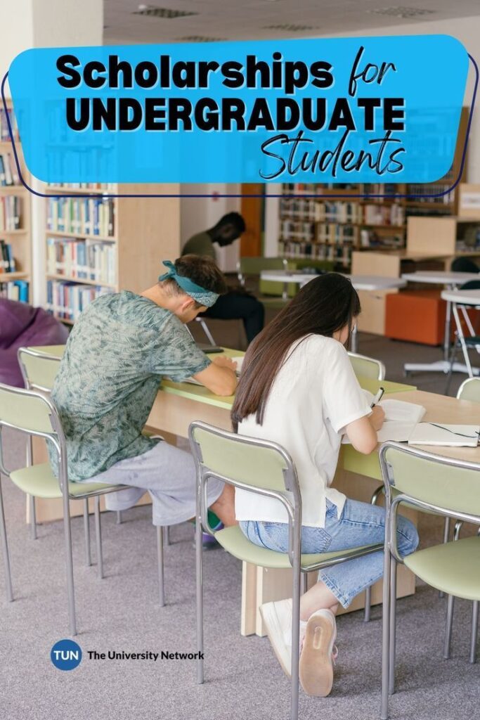 Scholarship For Undergraduate Students