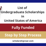 Undergraduate Scholarships