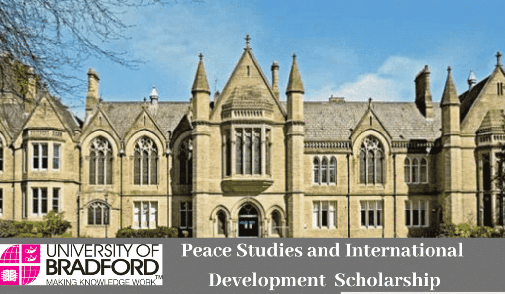 My Journey to Peace: How the Scholarship for Peace Studies Changed Everything